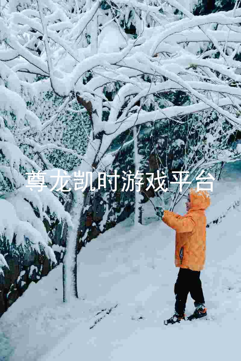 尊龙凯时游戏平台